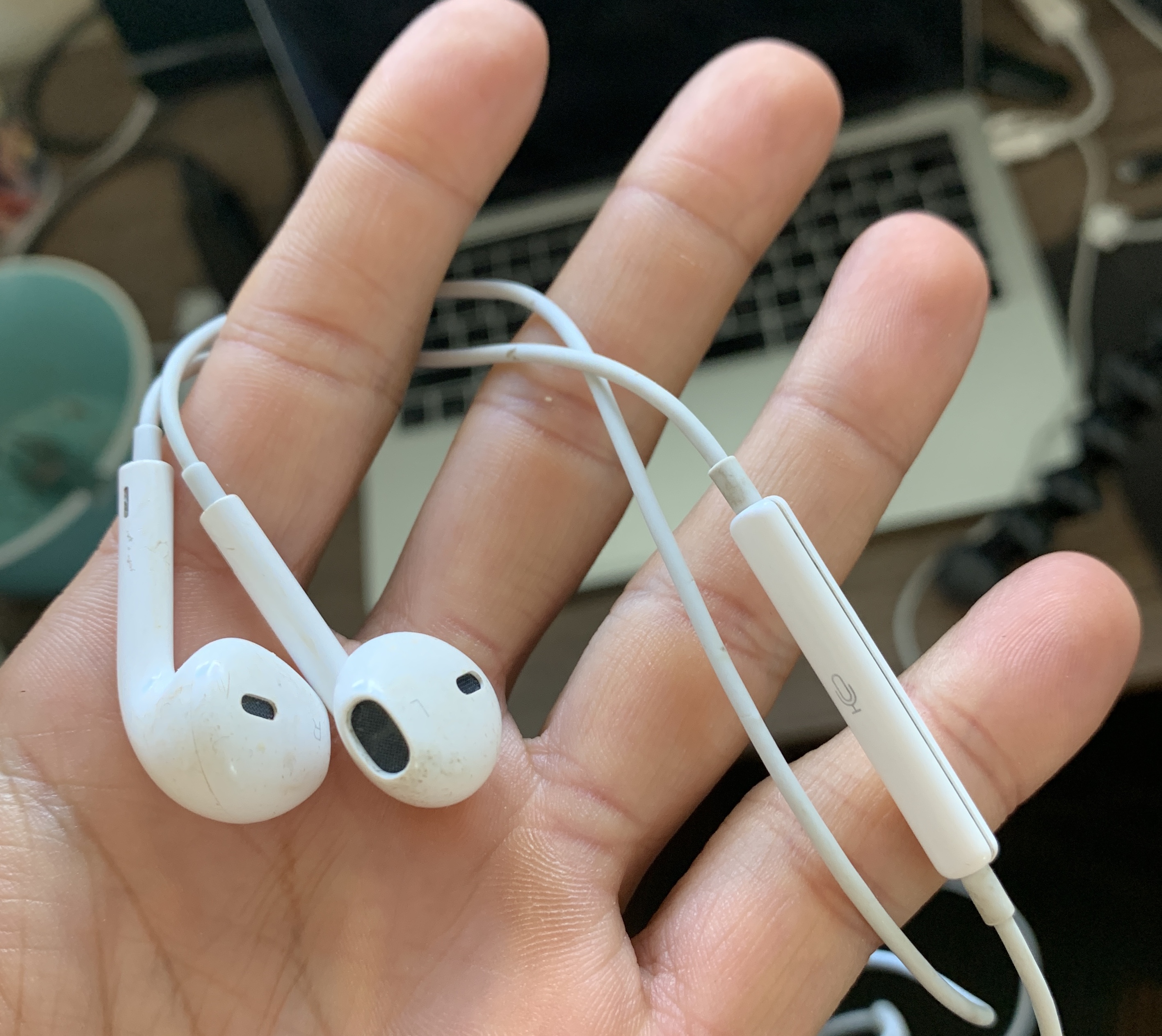 iPhone earpods