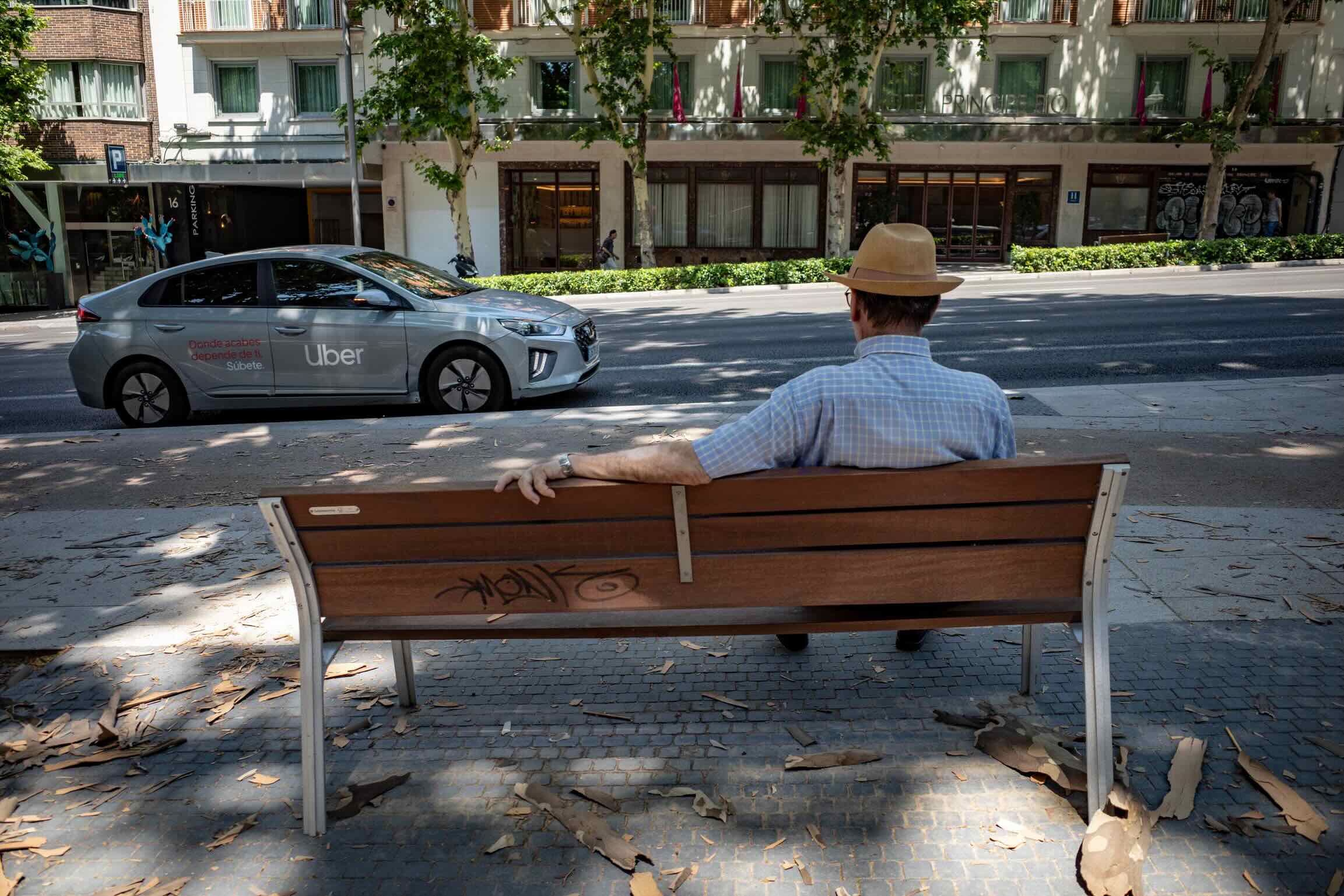 madrid bench