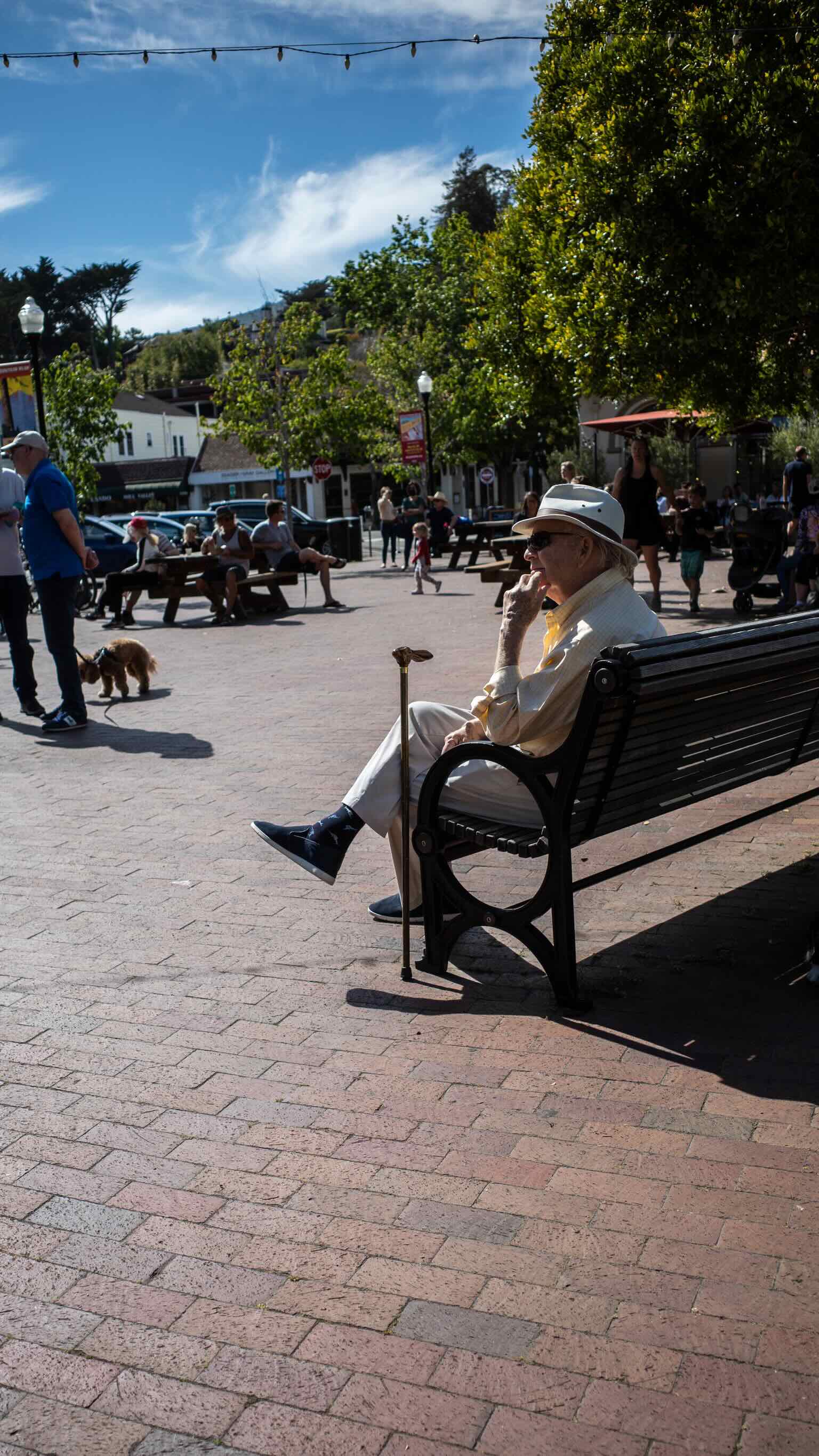 mill valley bench