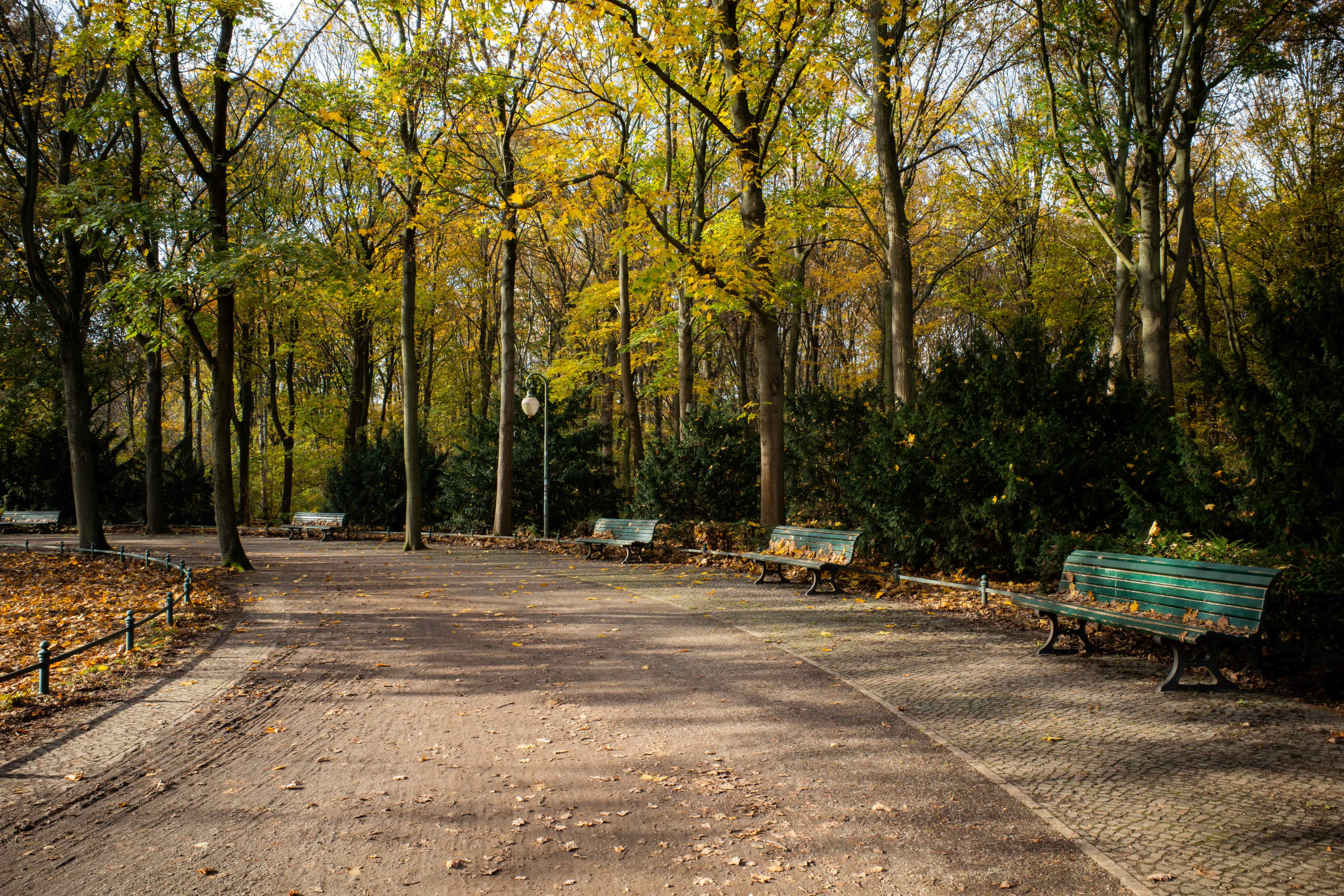 tiergarten