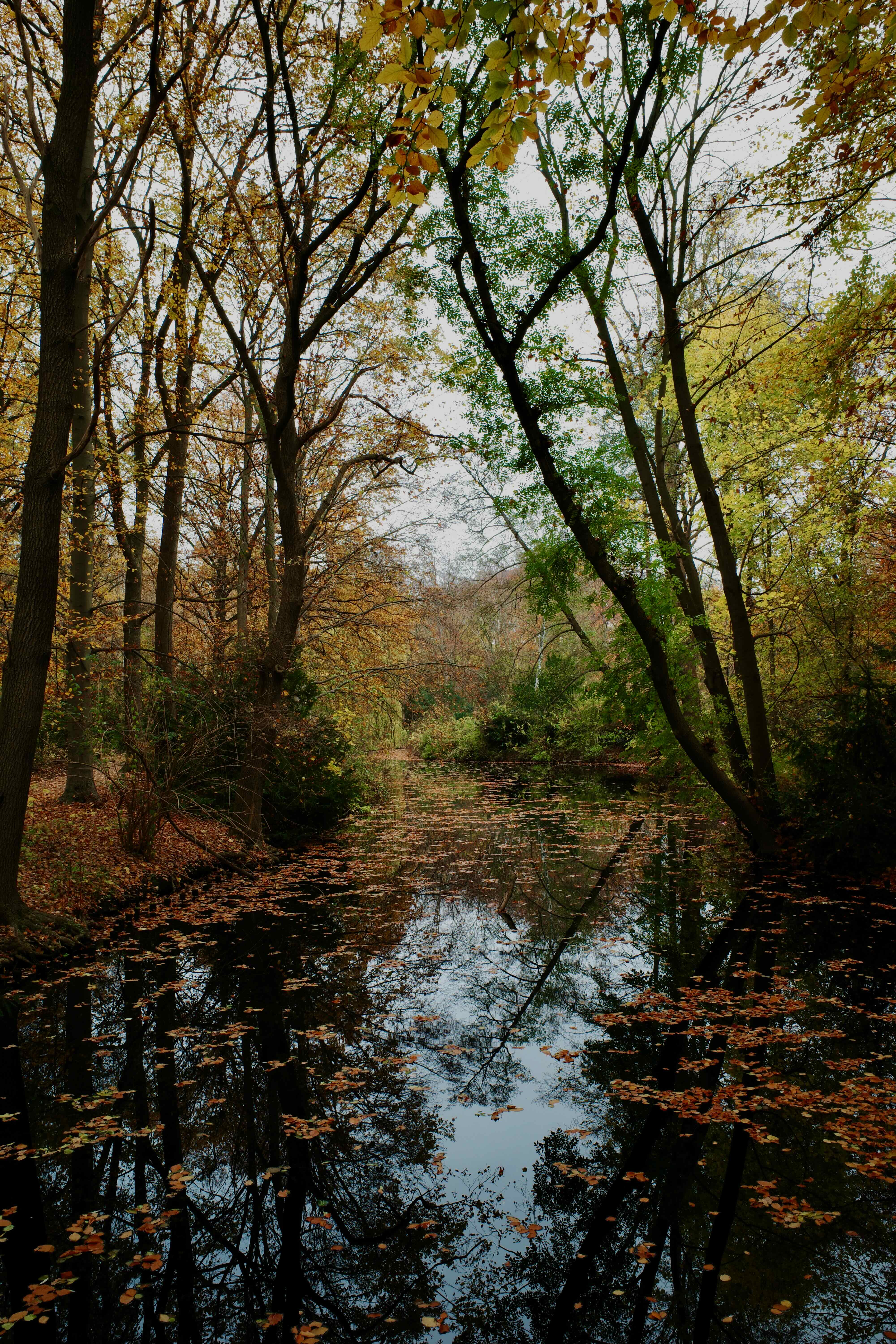 tiergarten