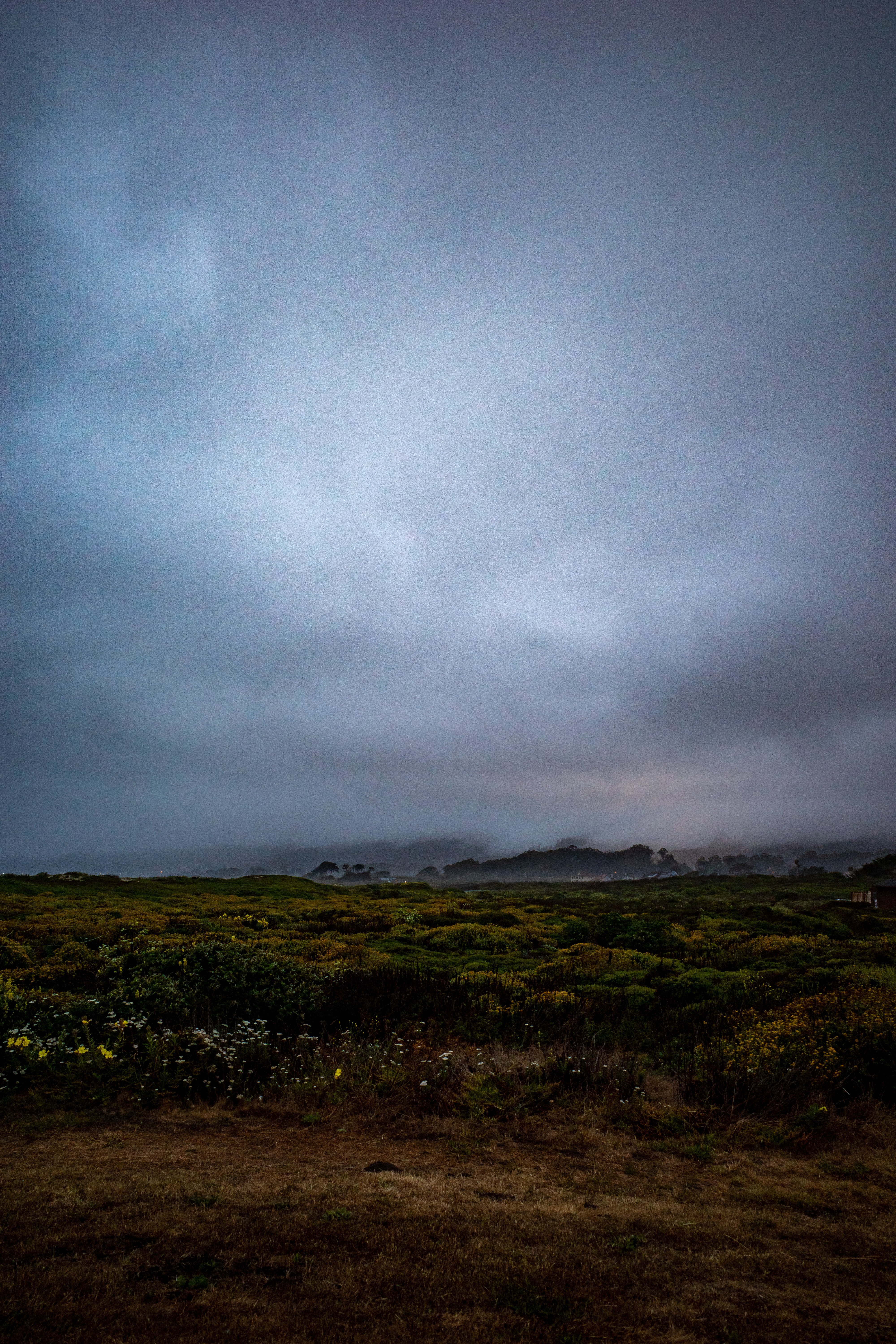 View of the fog in Half Moon Bay