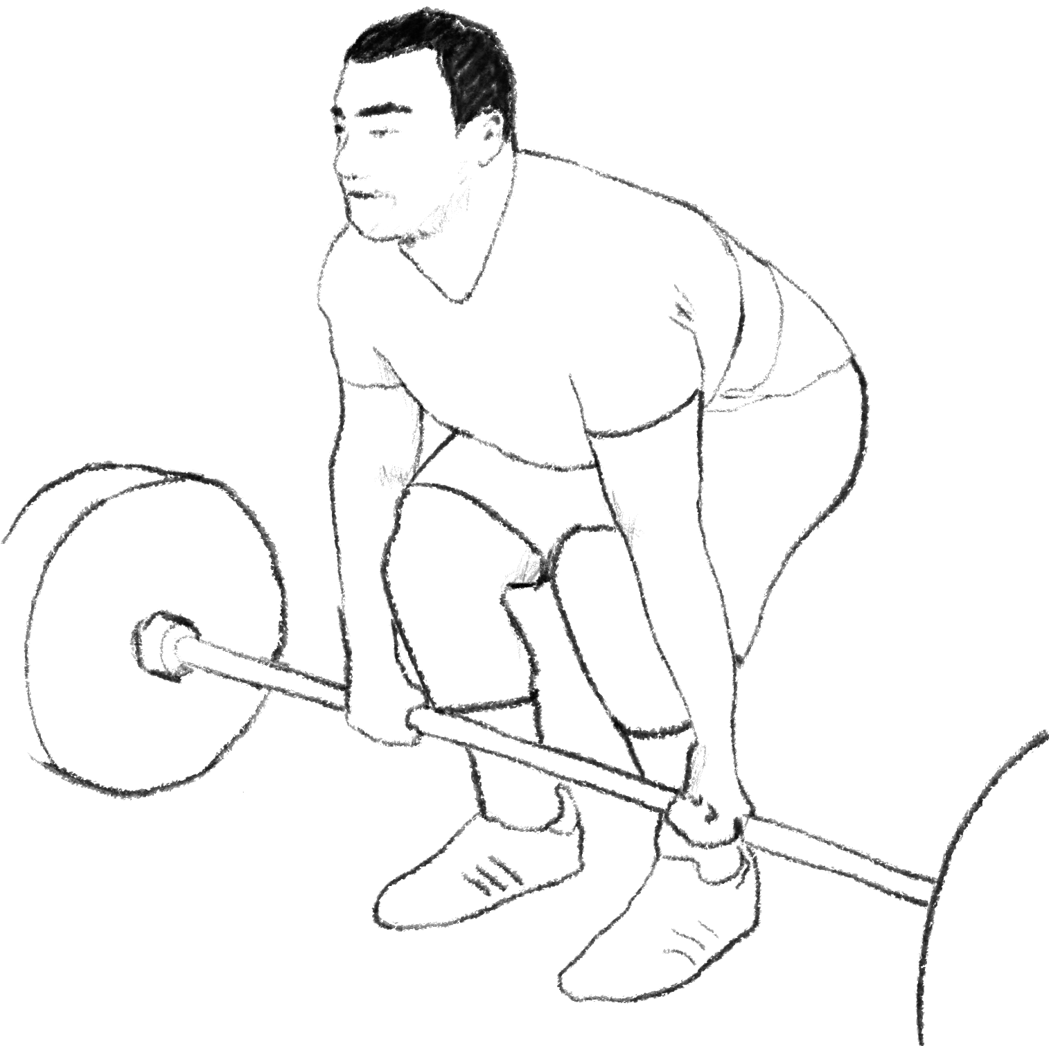 Building a Home Gym