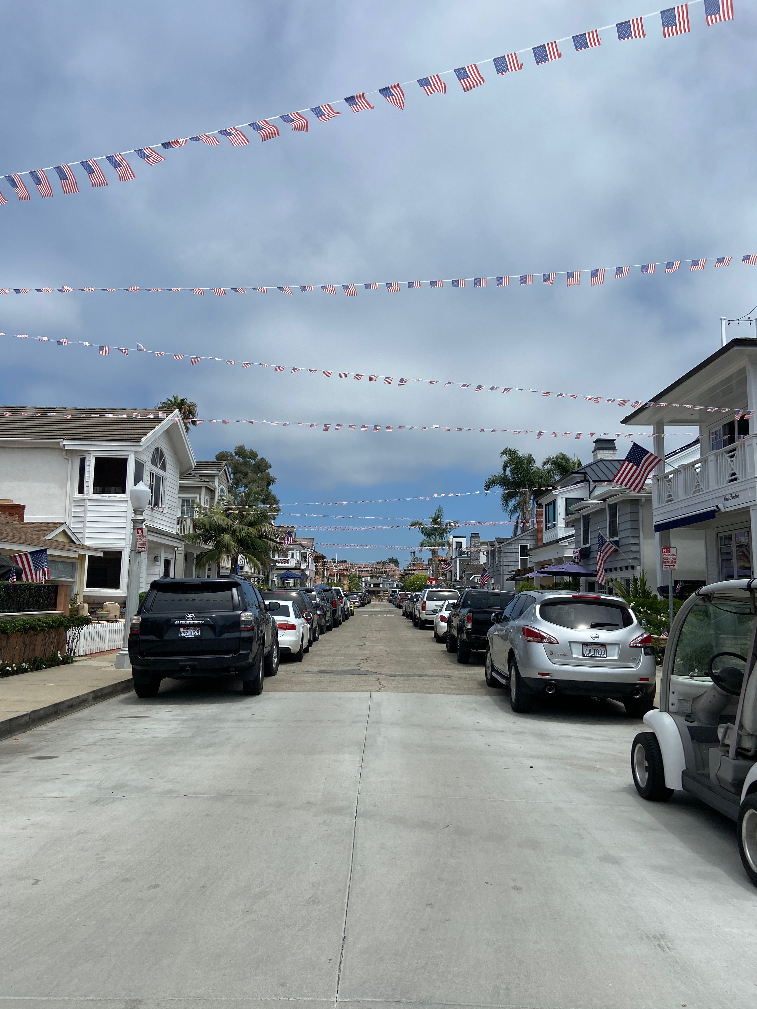 Balboa Island flags