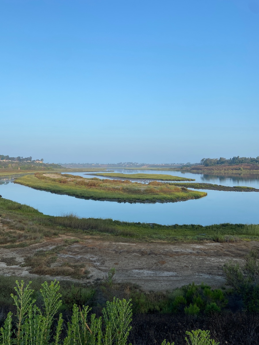 View of the San Diego Creek