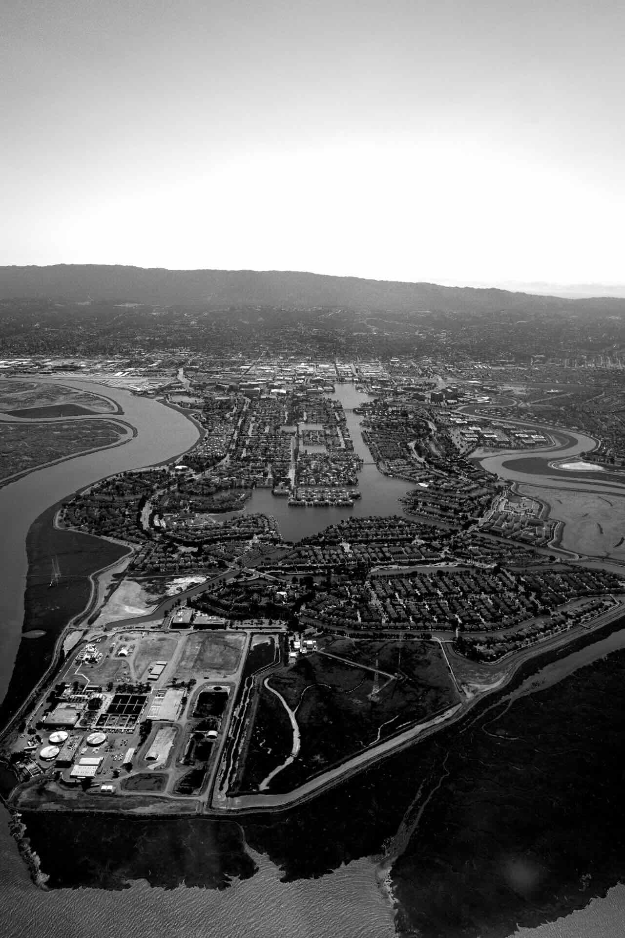 redwood shores