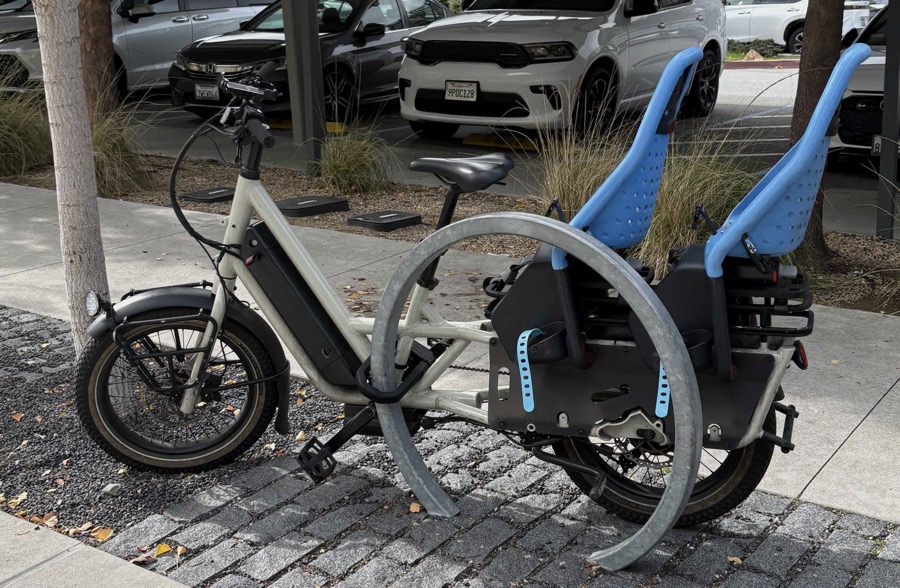 double rear child seat on a cargo bike