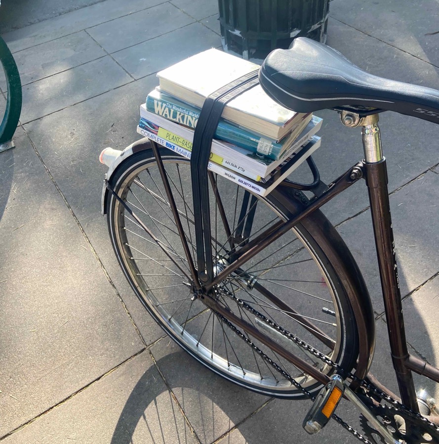 rear rack bungee cord